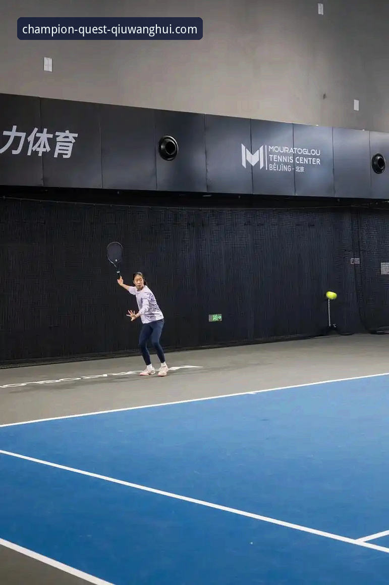 揭秘球王会体育平台：冠军体验背后的真实细节